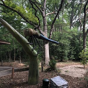 Special Exhibit 2022: Dino Don's Dragon Kingdom