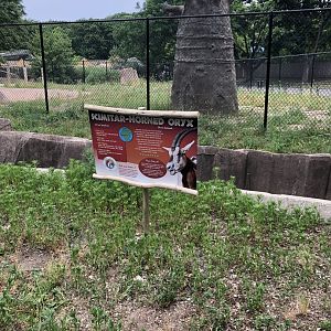 New Species in Former Elephant Exhibit