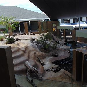 River Otter Exhibit