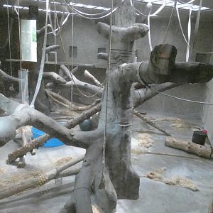 Left Indoor Ape Exhibit, Great Apes of Harambee - July 2022