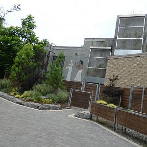 Giraffe Building, African Grasslands - July 2022