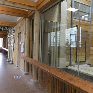 Giraffe Building, African Grasslands - July 2022