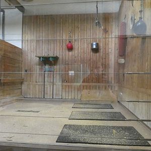 Giraffe Building, African Grasslands - July 2022