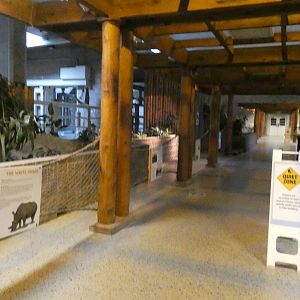 Rhino Building Overview (Former Elephant), African Grasslands - July 2022