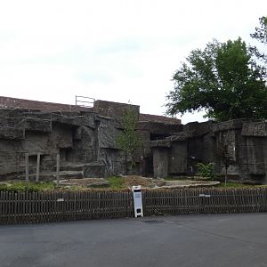 Former Bear Exhibit - July 2022