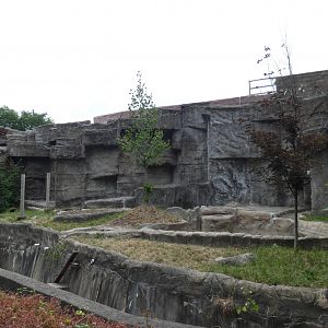 Former Bear Exhibit - July 2022