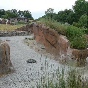 Arctic Ring of Life Renovations + Removal of Arctic Fox Exhibit - July 2022