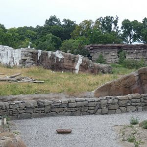 Arctic Ring of Life Renovations + Removal of Arctic Fox Exhibit - July 2022