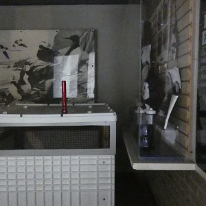 Former Penguinarium Interior - July 2022