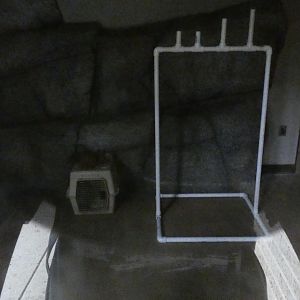 Former Penguinarium Interior - July 2022