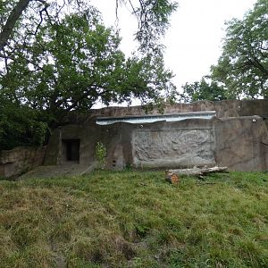 Aardvark Exhibit, African Grasslands - July 2022