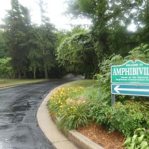 Welcome to Amphibianville Sign - July 2022