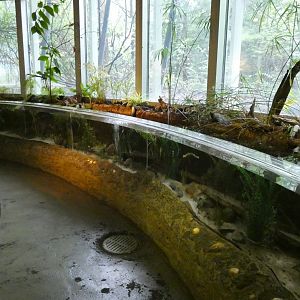 Open-topped Stream Exhibit, National Amphibian Conservation Center - July 2022