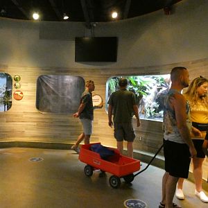 Second Main Hall, National Amphibian Conservation Center - July 2022