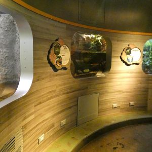Toad Exhibits (Mostly), National Amphibian Conservation Center - July 2022