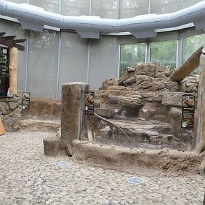 Giant Salamander Exhibit (Under Renovations), National Amphibian Conservation Center - July 2022