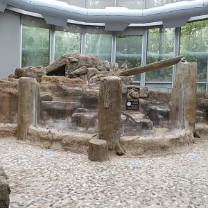 Giant Salamander Exhibit (Under Renovations), National Amphibian Conservation Center - July 2022