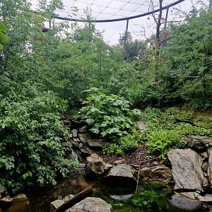 Black Kite/ Black Stork open Aviary
