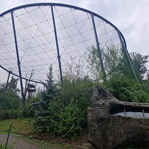 Black Kite/ Black Stork Aviary
