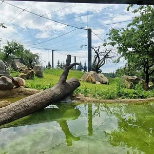 New Jaguar Exhibit