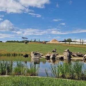 Future African Elephant complex Karibuni