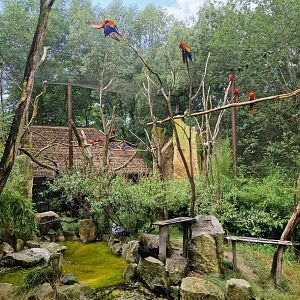 South American Walktrough aviary