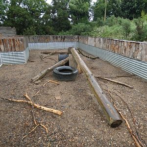 Meerkat and Porcupine enclosure