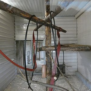 Crab-eating macaque indoor enclosure