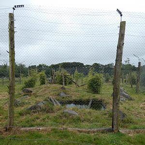Rhesus macaque enclosure