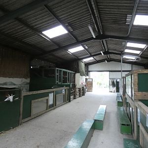 Animals Encounters House