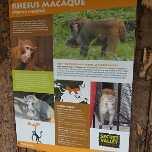 Signage about the macaques
