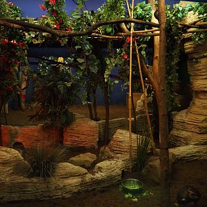 Nocturama (Closed in 2019) - First Balabac chevrotain and Northern Dry Zone slender loris exhibit, 2019-06-22