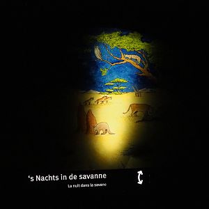 Nocturama (Closed in 2019) - Example of educational nocturnal habitat displays, 2019-06-22