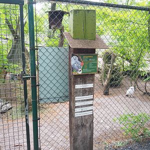 Snowy owl aviary, 2022-05-17