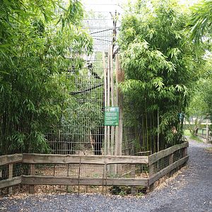 Walkway and Indochinese clouded leopard exhibit, 2022-05-17
