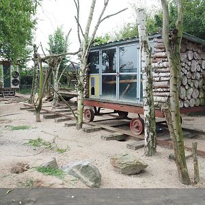 Black-tailed prairie dog exhibit, 2022-05-17