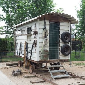 Fantain pigeon wagon, 2022-05-17