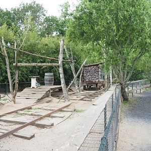 Black-tailed prairie dog exhibit, 2022-05-17