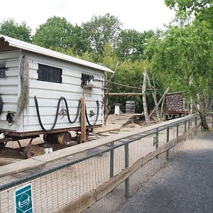 Fantail pigeon wagon and Black-tailed prairie dog exhibit, 2022-05-17