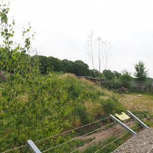 Spotted hyena exhibit, 2022-05-17