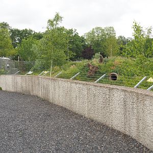 Walkway and Spotted hyena viewing area, 2022-05-17