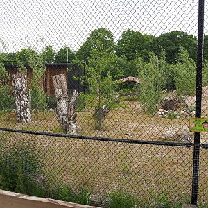 Future African wild dog exhibit, 2022-05-17
