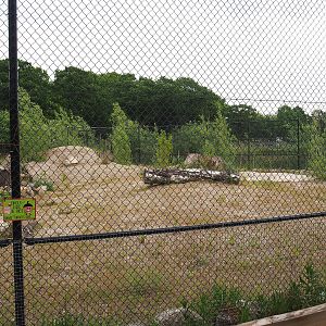 Future African wild dog exhibit, 2022-05-17