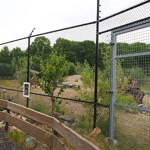 Future African wild dog exhibit, 2022-05-17