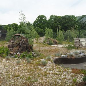 Future African wild dog exhibit, 2022-05-17