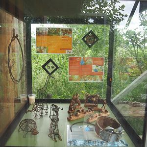 Display with African wild dog conservation project signage, Study collar and Trinkets made from snare metal, 2022-05-17