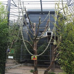 Binturong exhibit, 2022-05-17