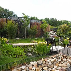 European pond turtle and Three-spined stickleback pond and White-nosed coati exhibit, 2022-05-17