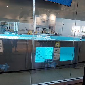 Essex County Turtle Back Zoo (2022) - Sea Turtle Recovery Room