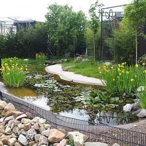 European pond turtle and Three-spined stickleback pond, 2022-05-17